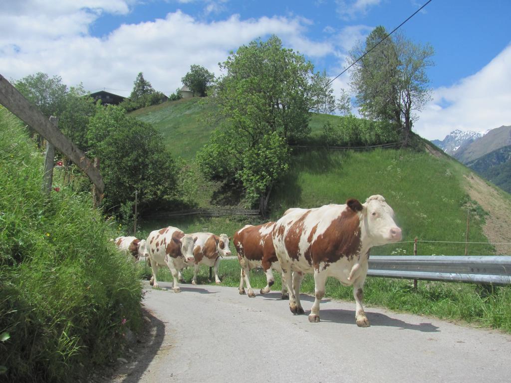 Lampeterhof Lägenhet Matrei in Osttirol Exteriör bild