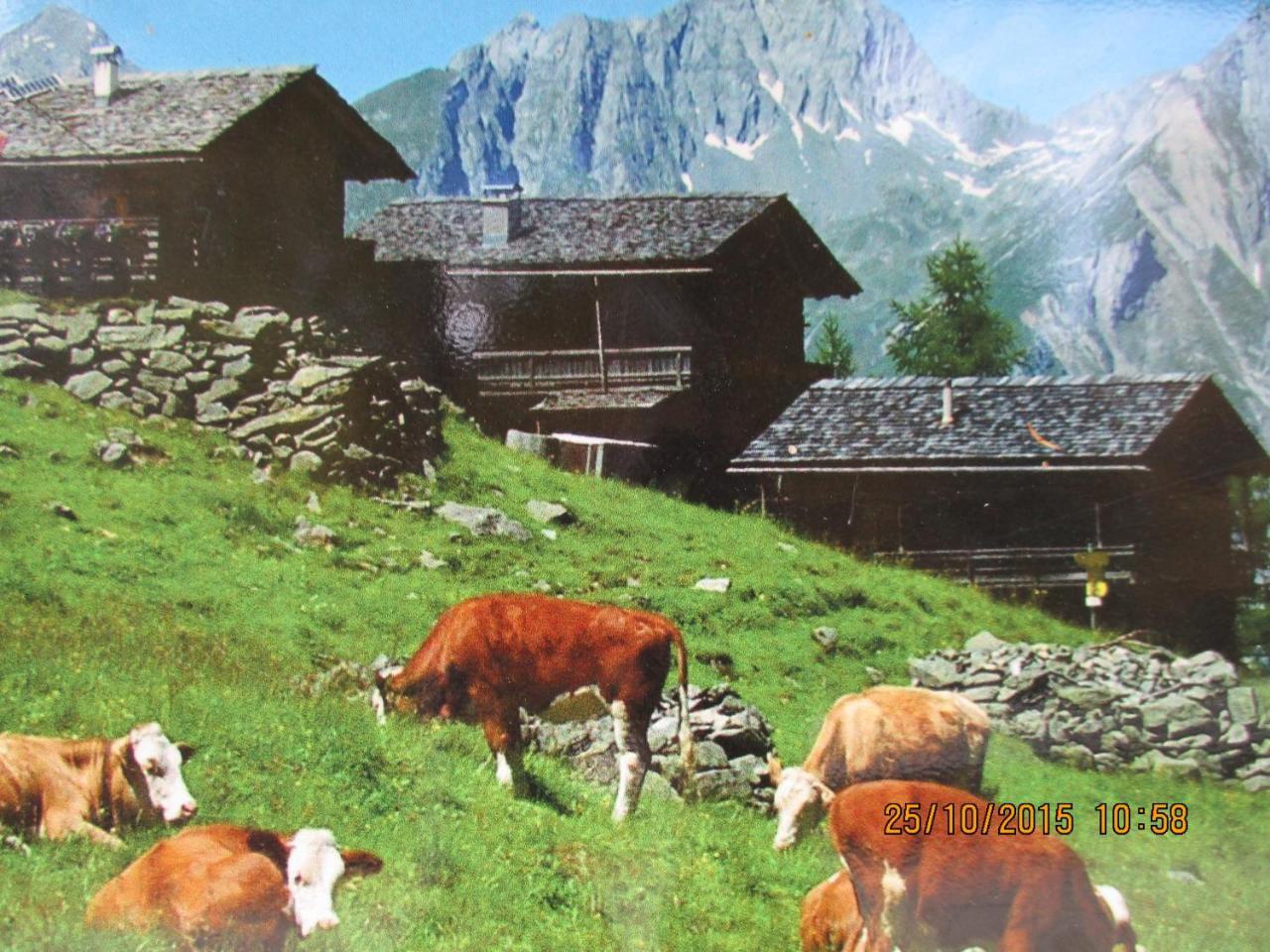Lampeterhof Lägenhet Matrei in Osttirol Exteriör bild