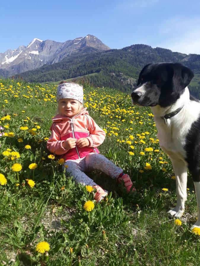 Lampeterhof Lägenhet Matrei in Osttirol Exteriör bild